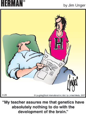 herman